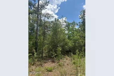 0 Tiger Avenue #LT3 BLK75, Marianna, FL 32448 - Photo 7