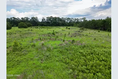 Highway 77, Chipley, FL 32428 - Photo 5