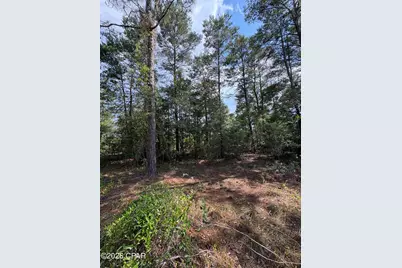 Lot 3 Dumajack Road, Chipley, FL 32428 - Photo 3
