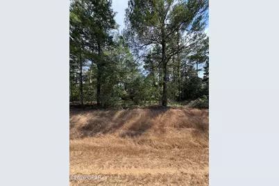 Lot 3 Dumajack Road, Chipley, FL 32428 - Photo 1