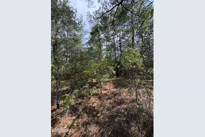 Lot 3 Dumajack Road, Chipley, FL 32428 - Photo 5
