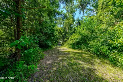 5130 Lake Bluff Circle, Marianna, FL 32446 - Photo 11