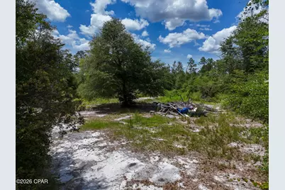 19511 Ross Road, Fountain, FL 32438 - Photo 5