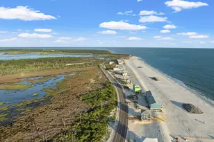 3875 Cape San Blas Rd, Cape San Blas, FL 32456 - Photo 59