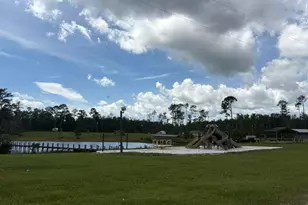 191 Castlewood Ln, Wewahitchka, FL 32465 - Photo 67