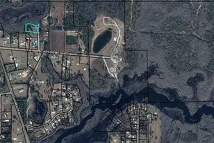 191 Castlewood Ln, Wewahitchka, FL 32465 - Photo 57