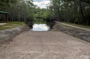 191 Castlewood Ln, Wewahitchka, FL 32465 - Photo 59