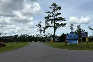 191 Castlewood Ln, Wewahitchka, FL 32465 - Photo 65
