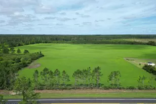 000 Sr 71, Blountstown, FL 32424 - Photo 1