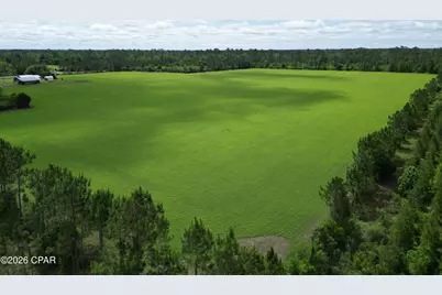 000 Sr 71 #71, Blountstown, FL 32424 - Photo 3