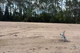 Lot 2 Pine Branch Ct, Port Saint Joe, FL 32456 - Photo 1