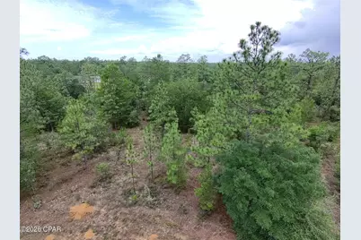 Lot 24 Newmoon Drive, Chipley, FL 32428 - Photo 1