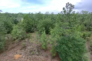 Lot 24 Newmoon Dr, Chipley, FL 32428 - Photo 1