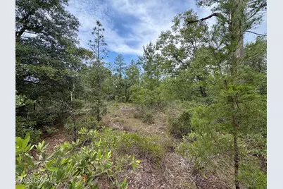 Lot 24 Newmoon Drive, Chipley, FL 32428 - Photo 7