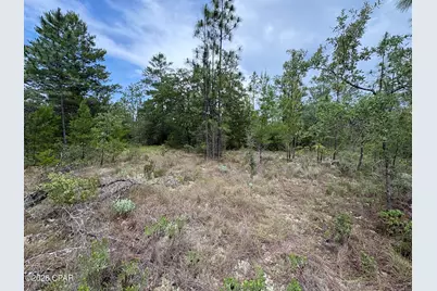Lot 24 Newmoon Drive, Chipley, FL 32428 - Photo 5