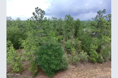 Lot 24 Newmoon Drive, Chipley, FL 32428 - Photo 3