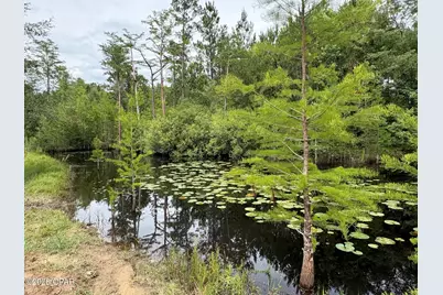 2802 Sylvania Road, Vernon, FL 32462 - Photo 13