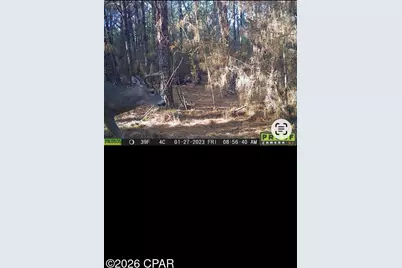 2802 Sylvania Road, Vernon, FL 32462 - Photo 35