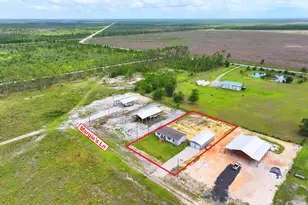 145 Margie's Ln, Wewahitchka, FL 32465 - Photo 43