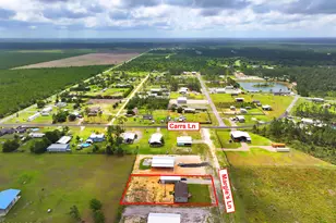 145 Margie's Ln, Wewahitchka, FL 32465 - Photo 41
