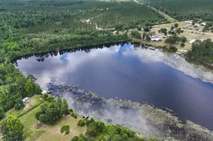 422 McDuff Dr, Alford, FL 32420 - Photo 21