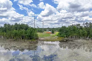 422 McDuff Dr, Alford, FL 32420 - Photo 3