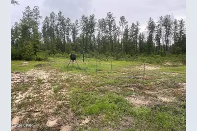 5175 Highway 90, Marianna, FL 32446 - Photo 9