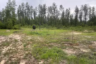 5175 Hwy 90, Marianna, FL 32446 - Photo 9