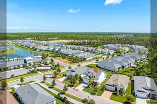 320 Naturewalk Blvd, Watersound, FL 32461 - Photo 5