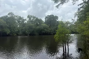 15021 SE Blue Bream Dr, Blountstown, FL 32424 - Photo 31