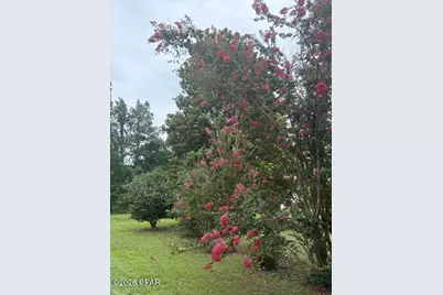 15021 SE Blue Bream Drive, Blountstown, FL 32424 - Photo 29