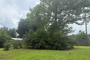 15021 SE Blue Bream Dr, Blountstown, FL 32424 - Photo 13