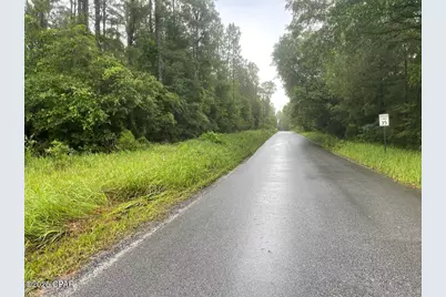 0000 Beall Packing House Road, Bonifay, FL 32425 - Photo 5