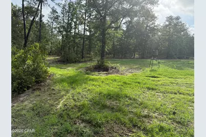 516 Goshun Creek Road, Chipley, FL 32428 - Photo 1