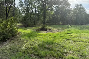 516 Goshun Creek Rd, Chipley, FL 32428 - Photo 1
