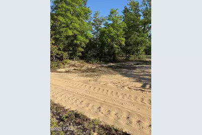 516 Goshun Creek Road, Chipley, FL 32428 - Photo 13