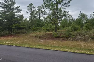 Lot 3 Deadening Rd, Chipley, FL 32428 - Photo 1