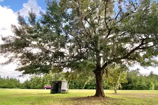 352 Michael St, Wewahitchka, FL 32465 - Photo 35