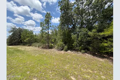 Lot 2 Challenger Boulevard, Chipley, FL 32428 - Photo 3