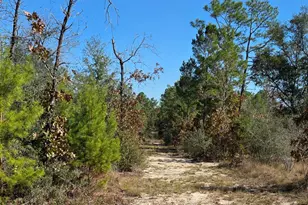 17627 Koerner Rd, Fountain, FL 32438 - Photo 5