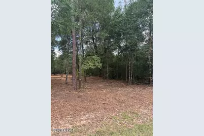 0 Forest Glen Drive, Fountain, FL 32438 - Photo 5
