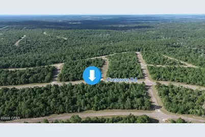 Lot 14 Firetower Road #11, Chipley, FL 32428 - Photo 3