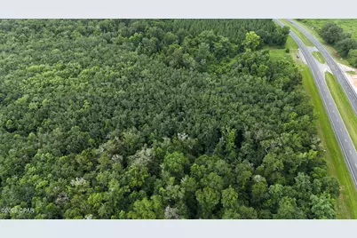 5500 Us-231, Campbellton, FL 32426 - Photo 3