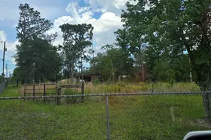 12835 Farm Rd, Southport, FL 32409 - Photo 13