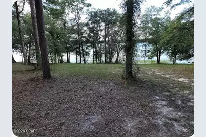 4393 Leisure Lakes Drive, Chipley, FL 32428 - Photo 5