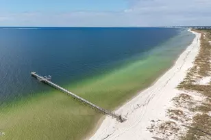 956 Backwater Rd, Port Saint Joe, FL 32456 - Photo 3