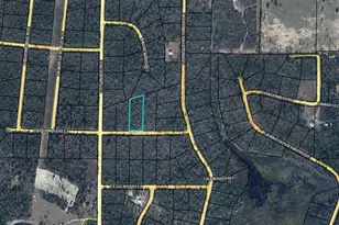 000 Capulin St, Alford, FL 32420 - Photo 1