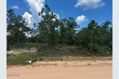00 Ocala Drive, Alford, FL 32420 - Photo 1