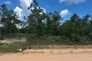00 Ocala Dr, Alford, FL 32420 - Photo 1