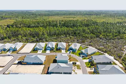 425 Vermilion Circle, Port Saint Joe, FL 32456 - Photo 43